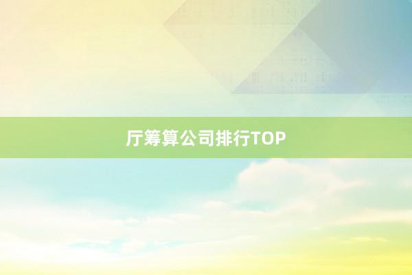 厅筹算公司排行TOP